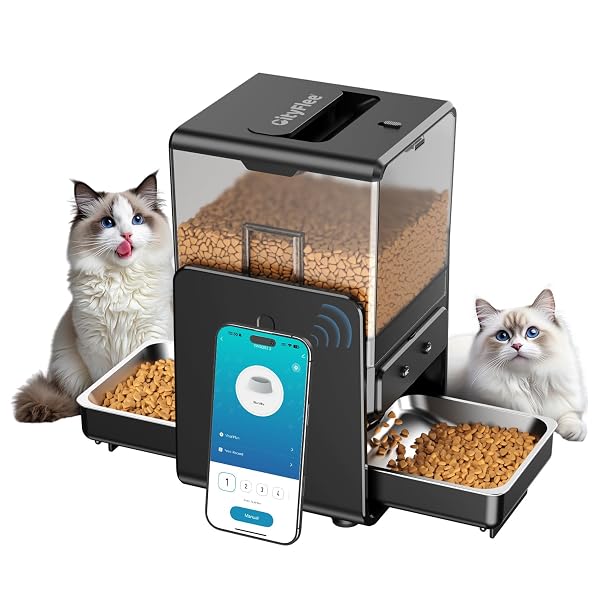 CITYFLEE AUTOMATIC CAT FEEDER WITH 5G WIFI FOR 2 CATS, ADJUSTABLE HEIGHT FOR SMALL PETS, DUAL BOWLS, 20 CUPS/5L DRY FOOD AUTO PET DISPENSER, VOICE RECORD, TIMED CAT FEEDER WITH APP CONTROL