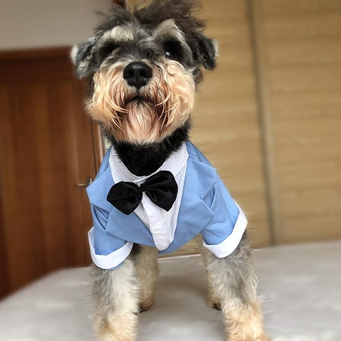 medianos y Grandes longlongpet 5 Colores Traje Formal para Perro con  Pajarita Negra para Perros pequeños microbiome.com.tr