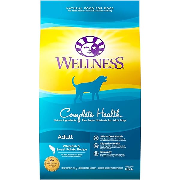 wellness complete health lamb