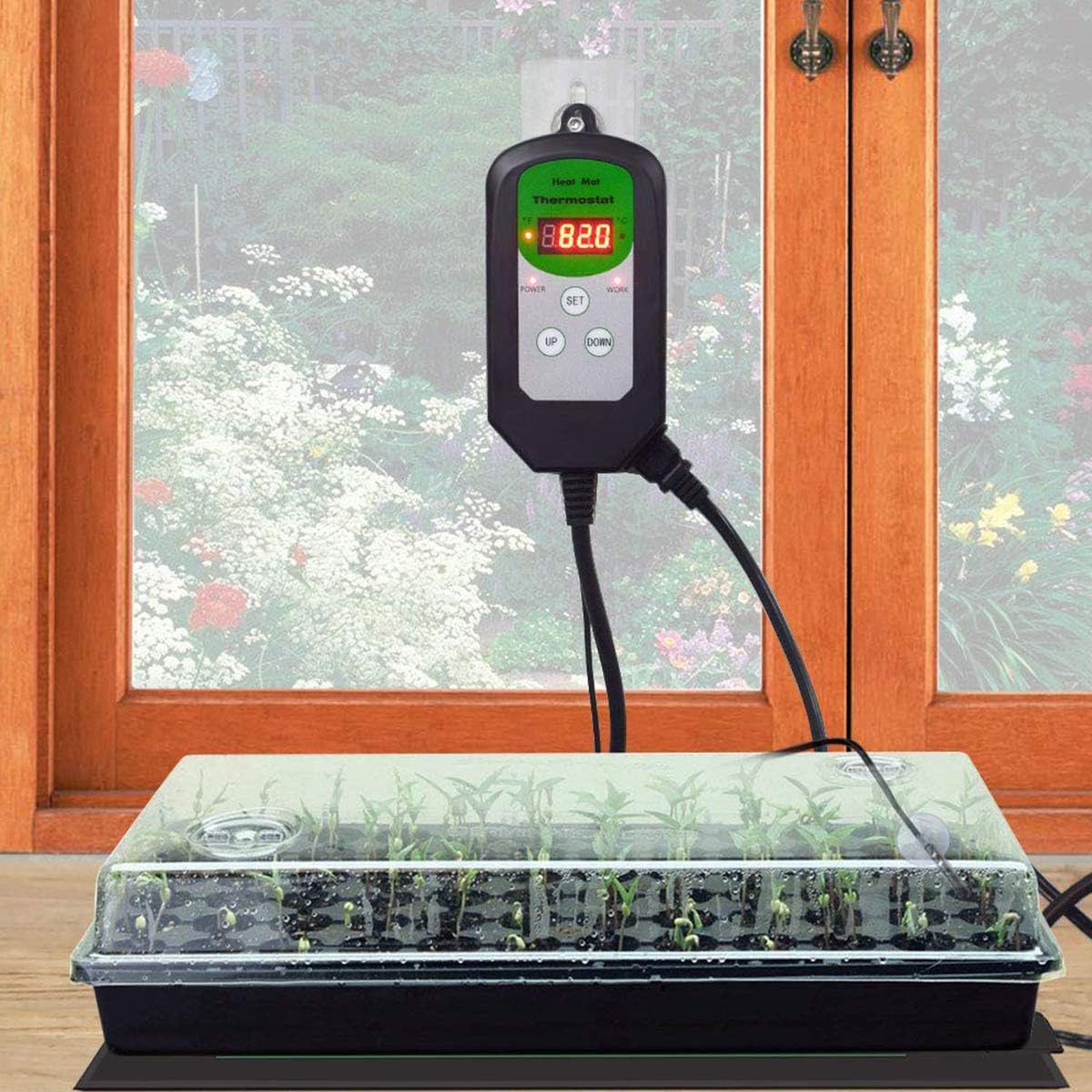 5 of the Best Heating Mats for Growing Seedlings Indoors