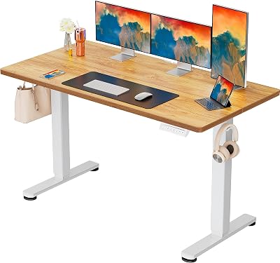 ErGear Electric Standing Desk 140 x 70 cm, 4 Memory, 80 kg Lift