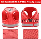 Anlitent Soft Mesh No Pull Cat Harness and Lead Set Red X-Small view 9