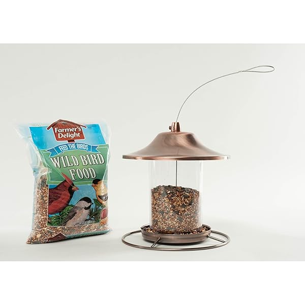 WAGNER’S 53002 FARMER’S DELIGHT WILD BIRD FOOD WITH CHERRY FLAVOR, 10-POUND BAG