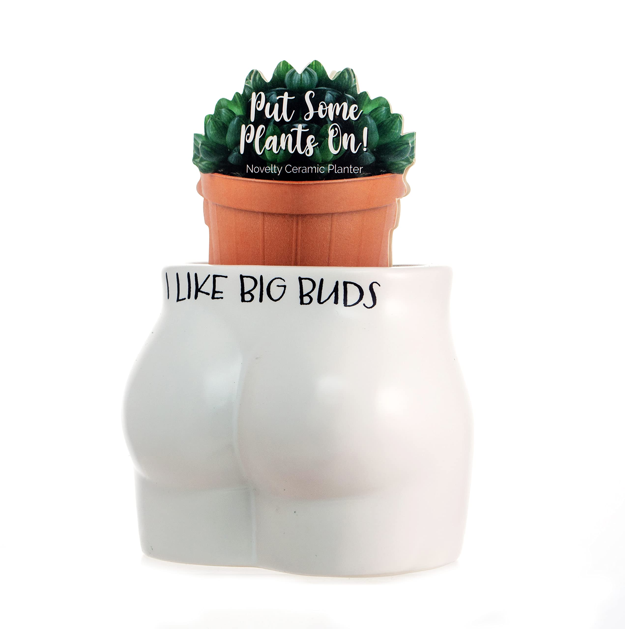 Boxer Gifts Like Big Buds Novelty Body Shaped Planter | Funny Rude Home Décor Gift, Ceramic, White, One Size (GC1325) — image 1