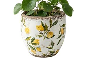 Tuscan Planter, Tuscan Ceramic Planter - Yellow Ceramic Flower Pot with Vintage Crackle Glaze for Indoor Outdoor Garden, Pati