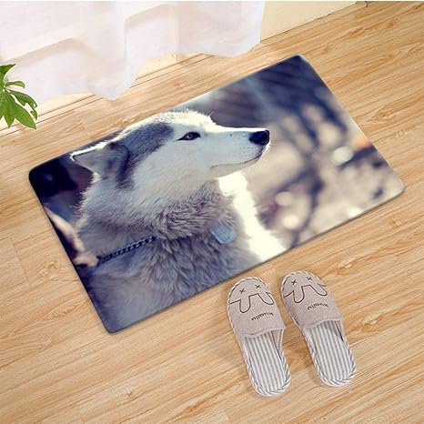 Amazon フロアマット バスマット サイズ 40cmx60cm ハスキー犬マズルコート襟座る 玄関マット トイレマット 足ふきマット 滑り止め加工 家庭用 消臭 抗菌 強い吸水 速乾性 お風呂マット カーペット 玄関マット オンライン通販