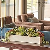 Oblong Faux Succulent Arrangement, 27" Premium Artificial Indoor Plant Enhances Interior Design, Display on any Surface in Yo