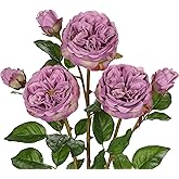 Arborus Real Touch Artificial Roses (Set of 3) – 23.6" Long Stem Purple Garden Roses – Lifelike Faux Silk Flowers for Wedding Bouquets, Home Décor, Centerpieces & Floral Arrangements