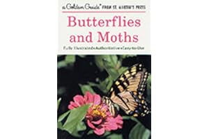 Butterflies and Moths: A Fully Illustrated, Authoritative and Easy-to-Use Guide (A Golden Guide from St. Martin's Press)
