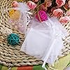 3x4 White Organza Wedding Party Favor Bags- Package of 100 by Favor Frenzy