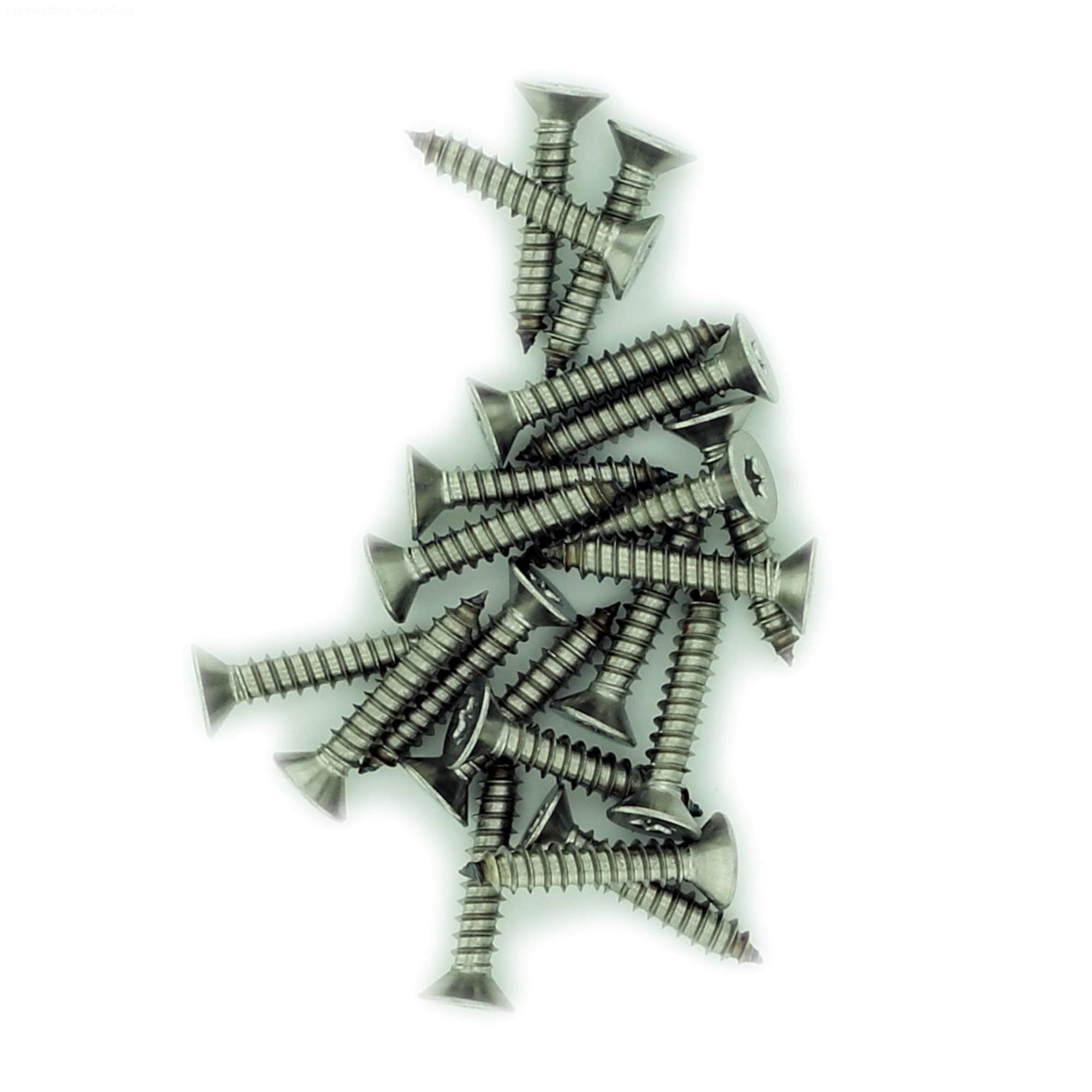 No.8 x 0.625 (4.2mm x 16mm) TX Countersunk Self-Tapping Screw - Stainless Steel (A2) (Pack of 20)