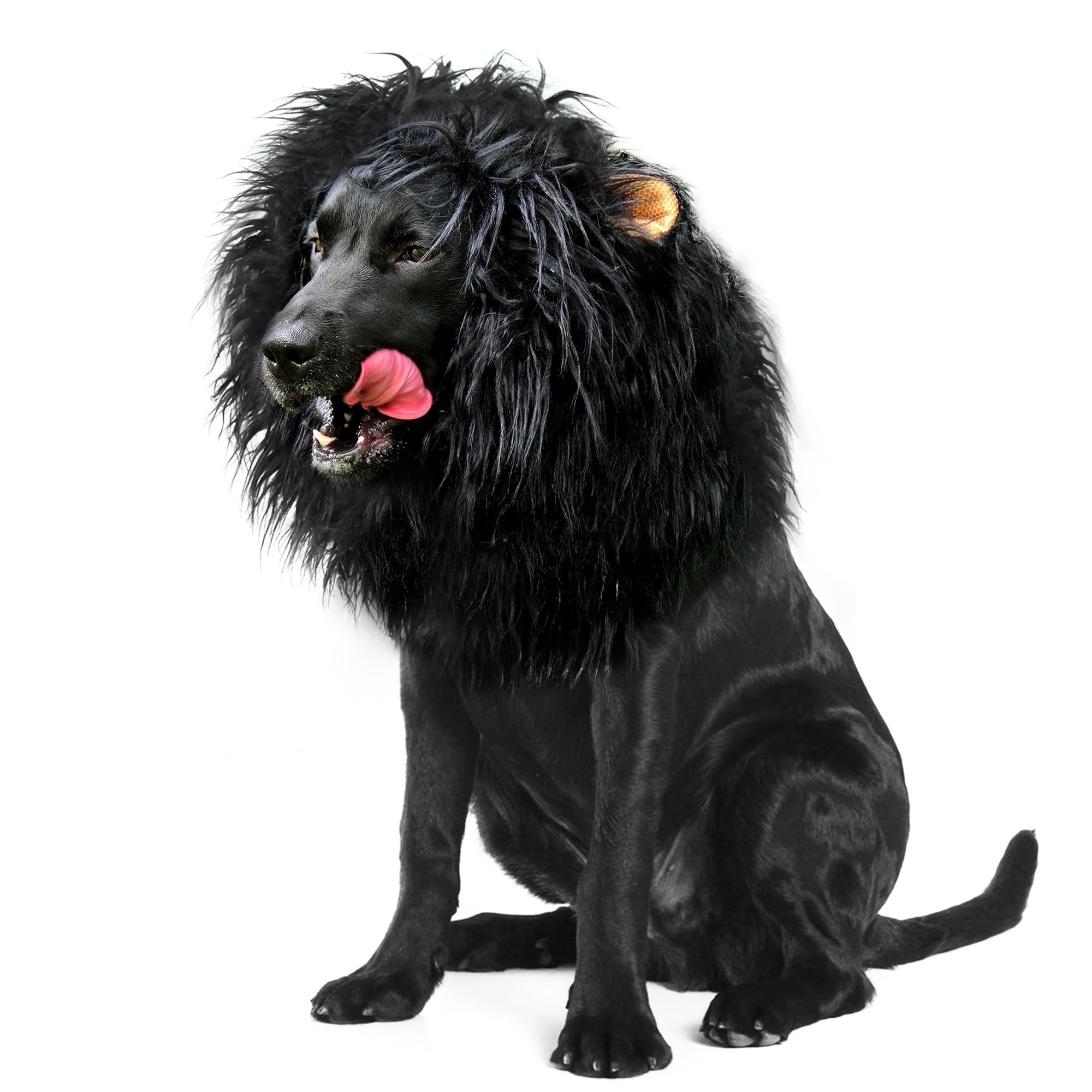 Photo 1 of Onmygogo Lion Mane Wig for Dogs with Ears, Funny Pet Costumes for Halloween Christmas (Size L, Black)