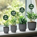 T4U Small Self Watering Plant Pots Indoor 6 Pack 11.5cm Grey Plastic view 9