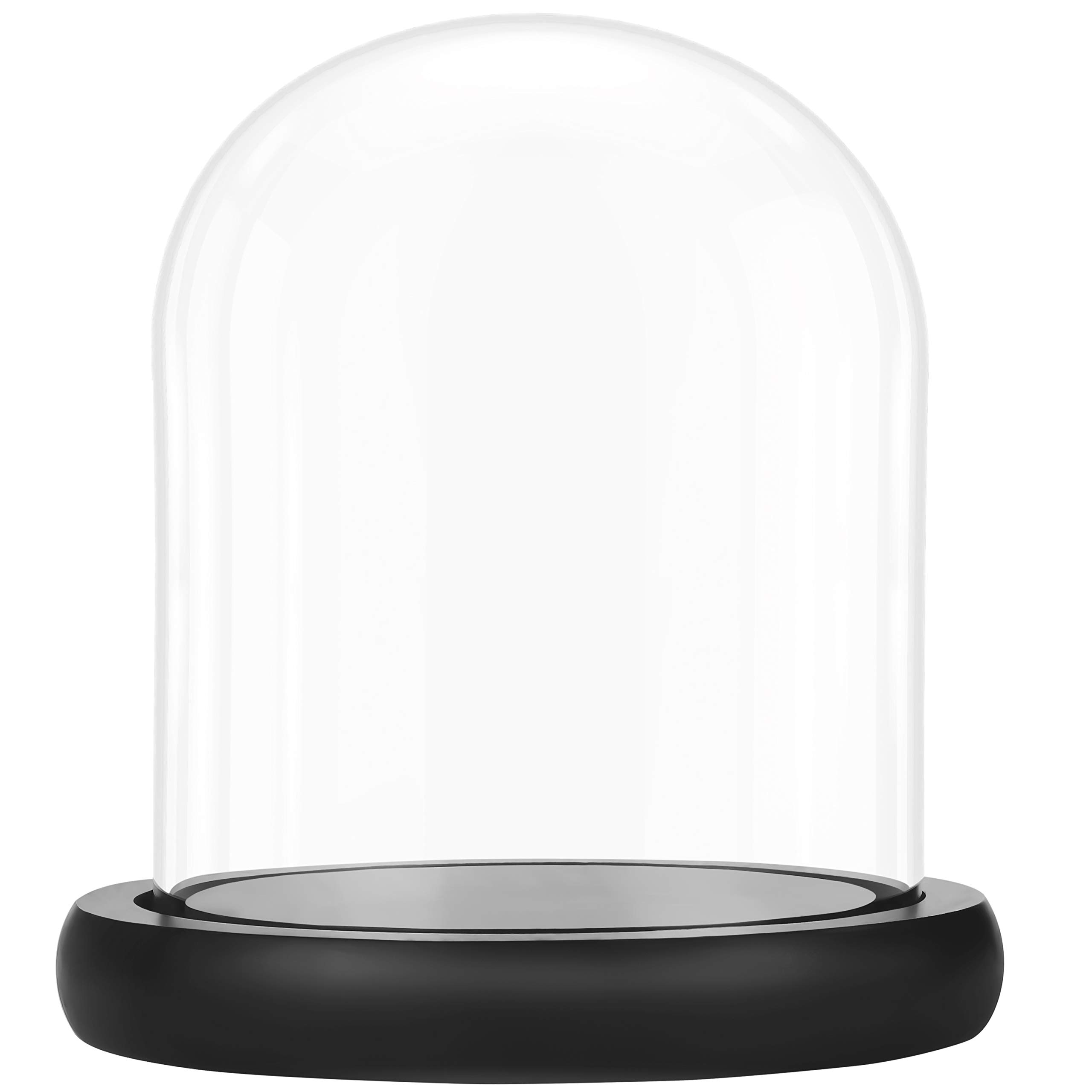 Belle Vous Glass Dome Cloche Bell Jar with Black Wooden Base - 17cm/6.69 Inches - Clear Decorative Tabletop Display Case with Tray for Fairy Lights, Centrepieces and Antiques