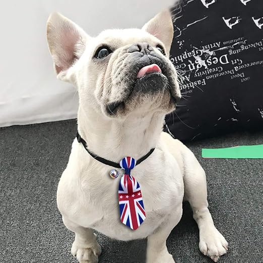 T.boys Corbata para Perros, Gatos, Animales, Banderas, Mascotas Ajustables, Corbata, decoración para Perros pequeños, medianos y Grandes, Accesorios para Perros.: Amazon.es: Productos para mascotas