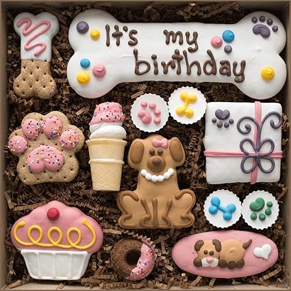happy birthday dog cookie