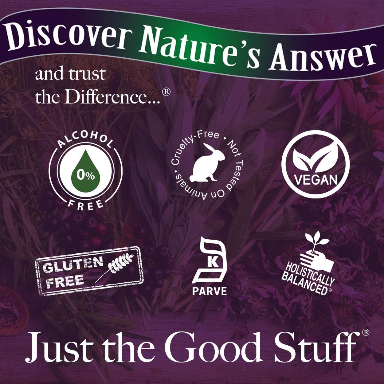 Nature's Answer Ginkgo Leaf, 1-Ounce Ginkgo Biloba Extract: Health & Personal Care