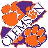 Desert Cactus Clemson University Sticker Tigers Sticker Vinyl Decals Laptop Water Bottle Car T2 (Type 2-3)