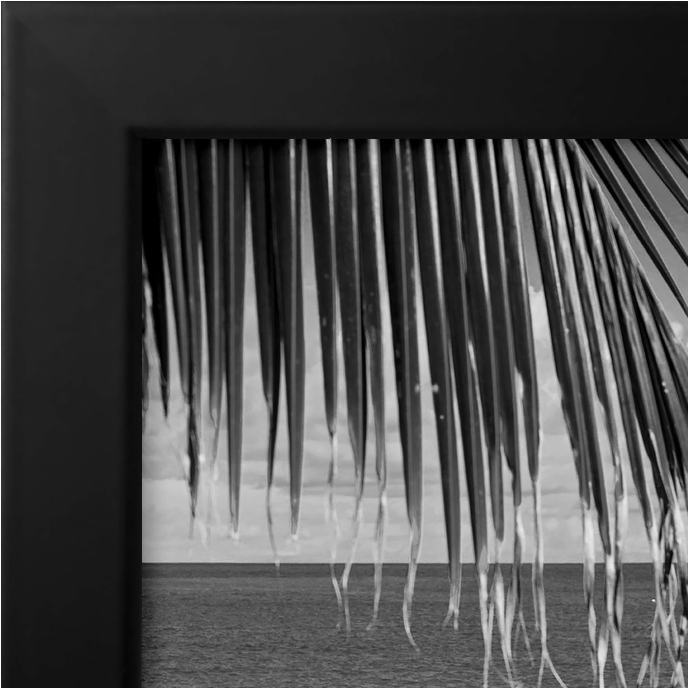 Americanflat Black Poster Frame, 13x19: Posters & Prints