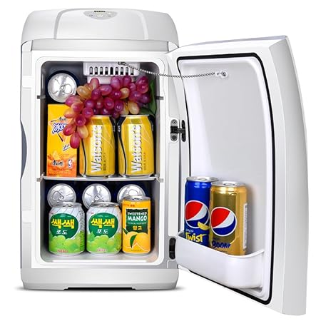 Compra SL&BX Coche Doble Mini refrigerador,Hogar de Coche ...