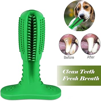 iXport Dog Toothbrush, Pet Brushing Stick, Dog Teeth Cleaning Chew Toys Puppy Dental Care Teeth Cleaning Massage Bite Resistant, for Small and Medium Breed 