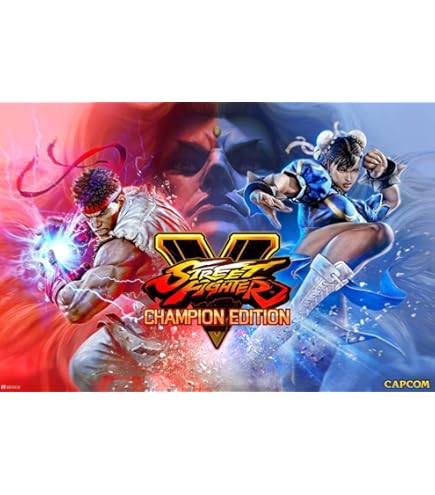 Amazon.com: Laminated Street Fighter You Lose Defeated Challengers
