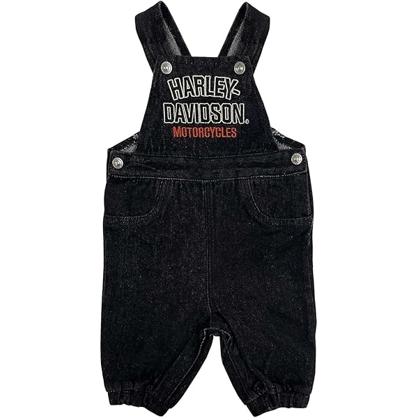 Harley Davidson Bar And Shield - Juego De 2 Calcomanías De