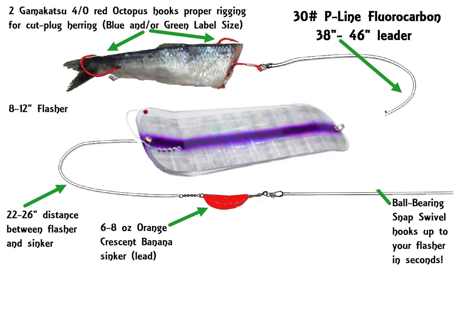 Plug cut herring hook up Hot Technique Trolling brined baitfish for