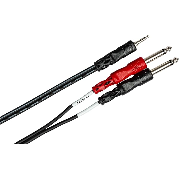 Hosa Technology Stereo 1/4"" Femmina A 2 RCA Maschio Cavo A Y