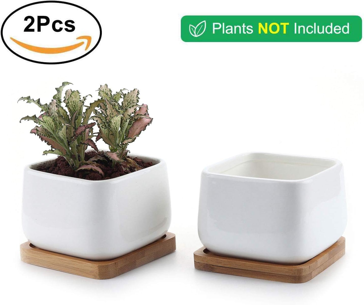 Cactus Plante Planteur Cache Pot Jardiniere Contenant Cadeau Pour Anniversaire Mariage T4u 10cm Pot De Succulent En Ceramique Avec Plateau En Bambou Blanc Lot De 2 Jardinage Jardin Lawawarenesssociety In