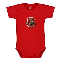 Creative Knitwear Cornell University Touchdown Big