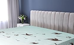 Ambesonne Art Fitted Sheet, Dandelion Flower