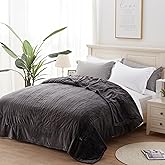 Westinghouse King Size Electric Heating Blanket, 10 Levels, Auto Shut Off, Fast Heating, Machine Washable (King, 100x90 Inches, Charcoal)