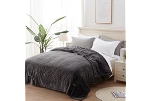 Westinghouse Queen Size Electric Heating Blanket, 10 Levels, Auto Shut Off, Fast Heating, Machine Washable (Queen, 84x90 Inches, Charcoal)