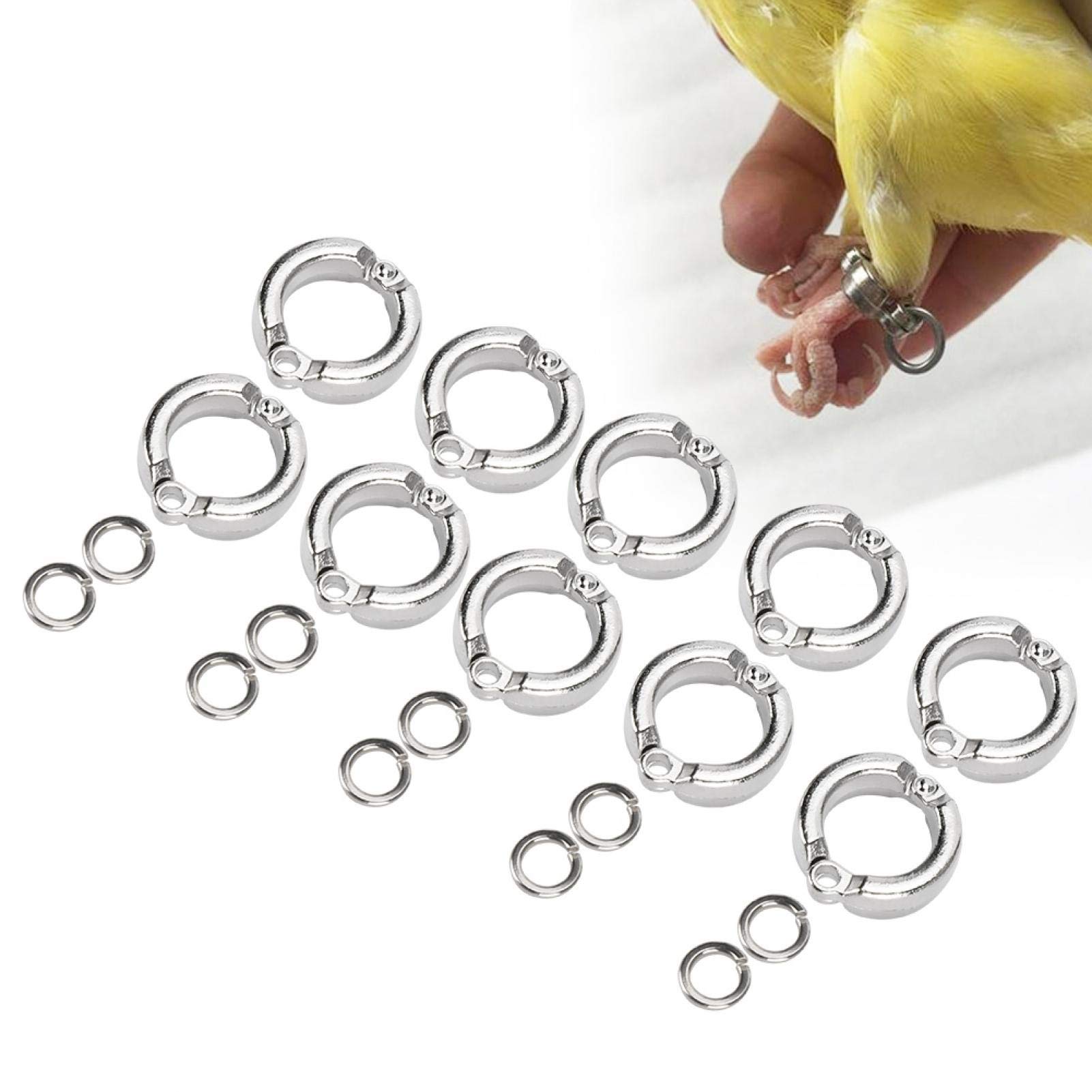 10Pcs Bird Foot Rings Metal Parrot Leg Ring Outdoor Fly Training Activity Opening Clip Accessories for Small Medium Large Birds Training(#12)