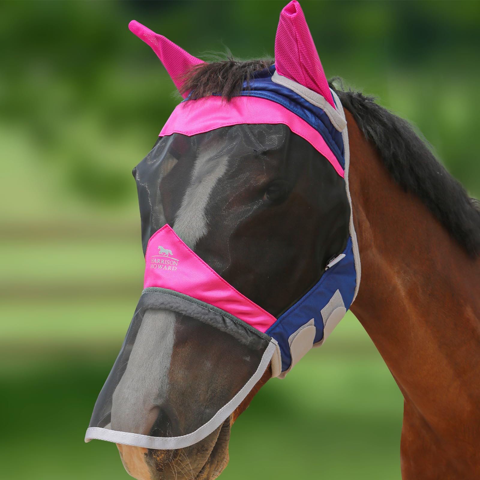 Harrison Howard Horse Fly Mask Long Nose with Ears-Fuchsia/Navy (M; Cob)