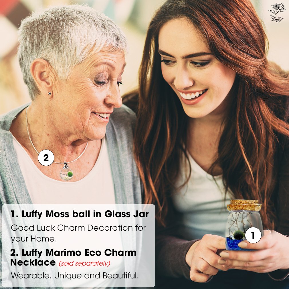 LUFFY Betta Balls: Live Marimo Plants : Natural Toys for Betta Fish : Aquarium Safe (Nano(Gift-Pack))