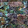 Abalone Shell Inlay Veneer for DIY or Professional Inlay Embellishments - Sustainable New Zealand Paua Opal- With 3M Double Sided Tape Backing - 9.45"X2.75"
