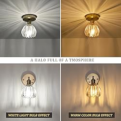 Shenmoyl Semi Flush Mount Gold Vintage Lights