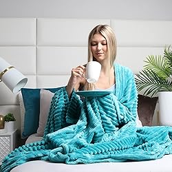Clara Clark Cut Plush Blanket - Queen Size