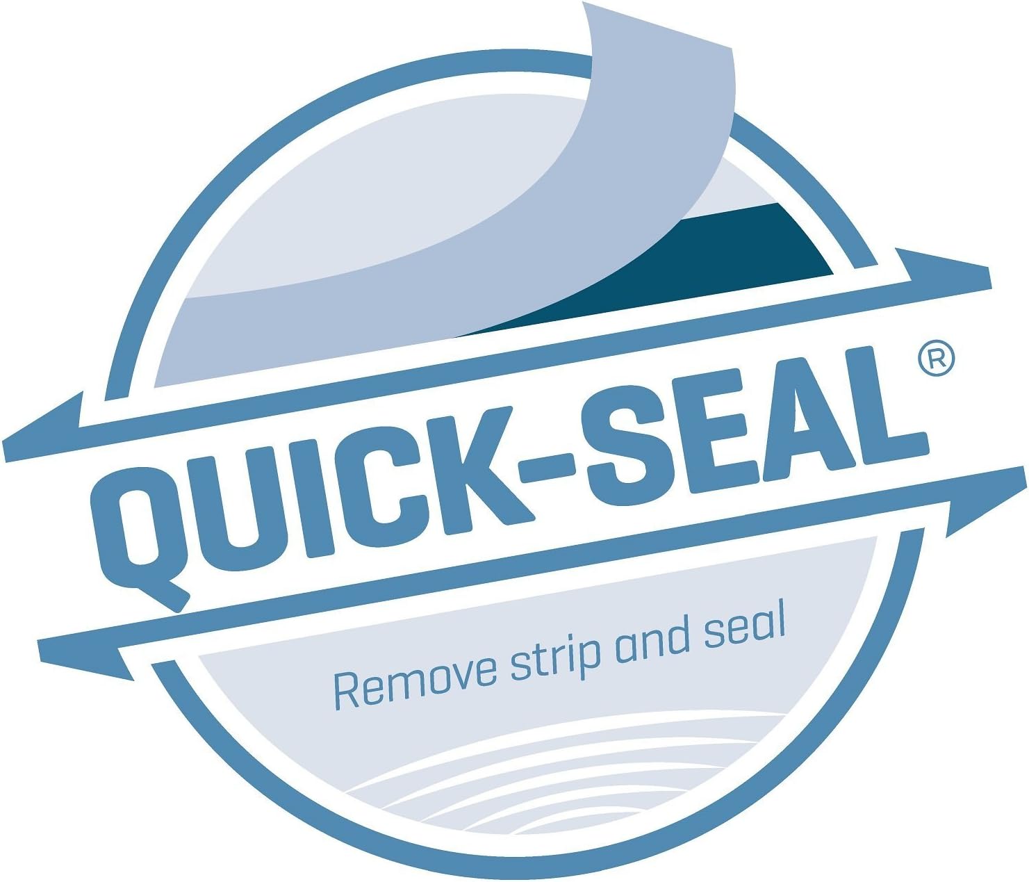 #10 Security Tinted Self-Seal Envelopes - No Window - EnveGuard, Size 4-1/8 X 9-1/2 Inches - White - 24 LB - 100 Count (34100) : Office Products