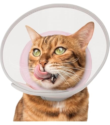 Cat Donut Collar Supet Air Mesh Cat Cones To Stop Licking, Soft