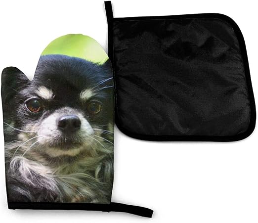 chihuahua heating pad