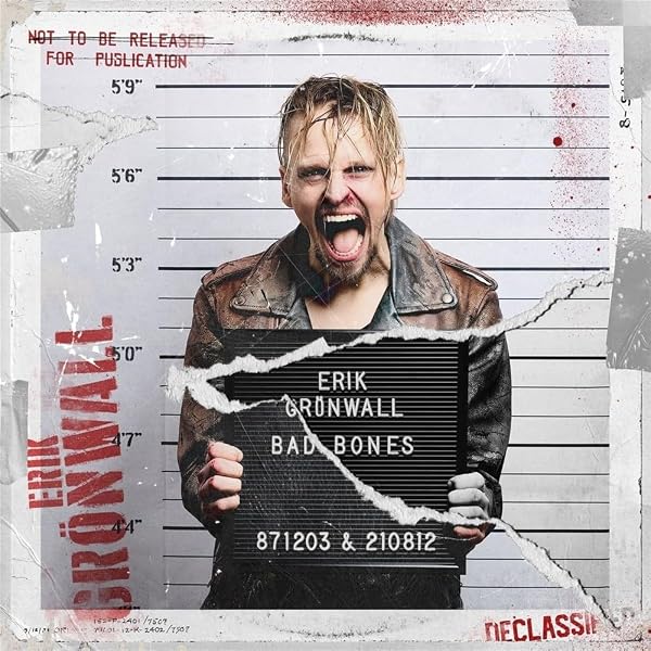 Amazon.com: Bad to the Bone: CDs & Vinyl