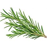 Rosemary Seeds for Planting &ndash; Non-GMO Herb Seeds for Indoor Outdoor Herb Garden, Container Gardening, Kitchen Herbs, Fragrant Perennial Rosemary Plant Seeds