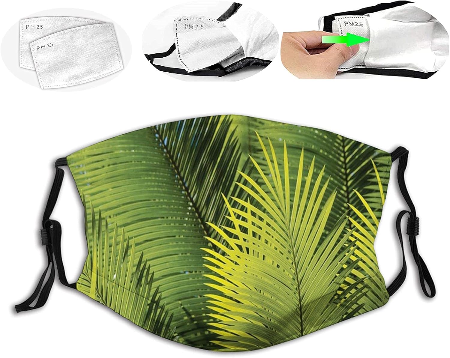 Palm Tree Fresh Tree Leaves Evergreen Flowering Wild Plants Bush