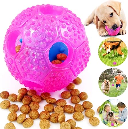 best dog iq toys