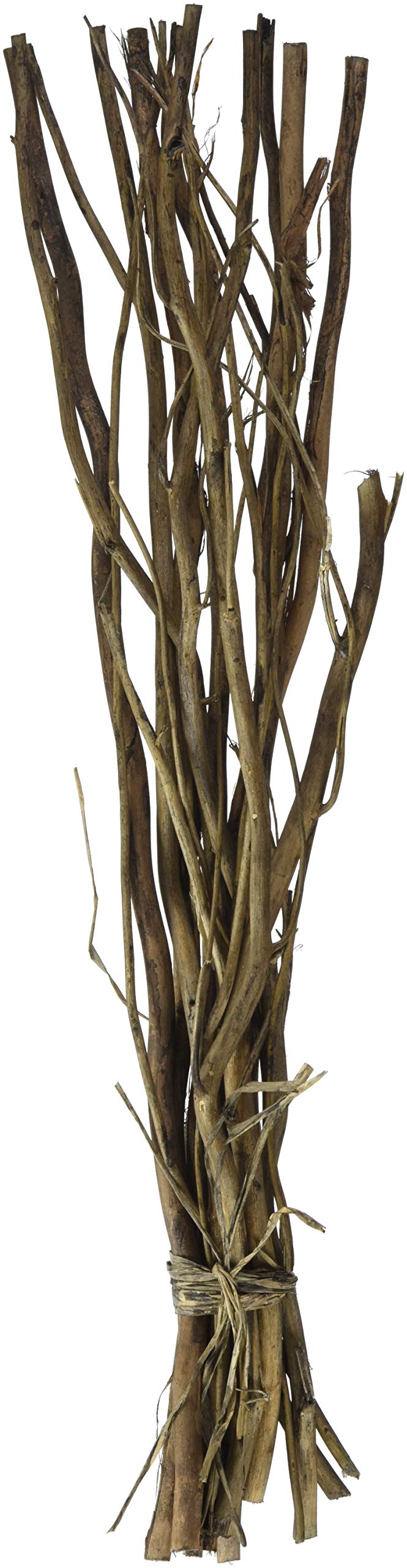 GLOREX 6 7026 802 Willow Bundle, Brown, 40 cm, Wood, One Size