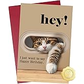 NPCSWXQ Funny Cat Birthday Card,Cat Lovers Gifts for Men,Women,Husband,Wife,Brother,Sister,Best Friend,Dad,Mom,Thick Card Stock with Premium Envelope 4.7 x 7.1in
