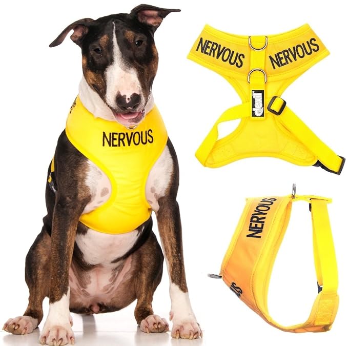 Advivio 2-teiliges Hunde-Bandana-Set – Mit Leinen-Wickel, „Give Me Some Space“ Aufdruck, Für Training & Style
